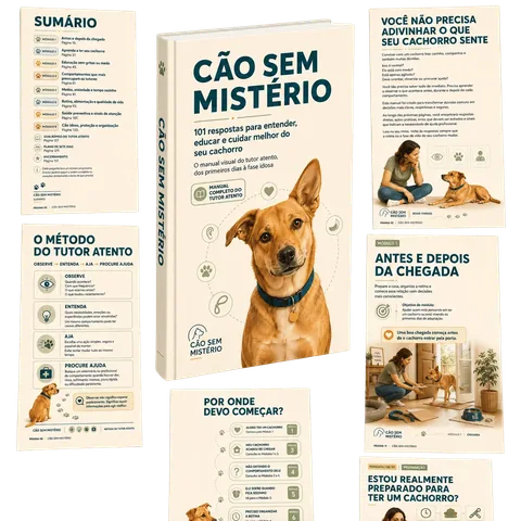 Orientações essenciais para cuidar do seu cão